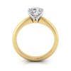 Yellow Gold Solitaire, RS9, TF