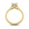 Engagement Ring, Yellow, Princess Cut Diamond, RSA1, TF