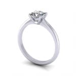 Engagement Ring, Princess Cut, RS13, Platinum, 3D Engagement Ring, Princess Cut, RS13, Platinum, 3D