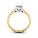 Engagement Ring, Princess Cut, RS12, Yellow Gold, TF