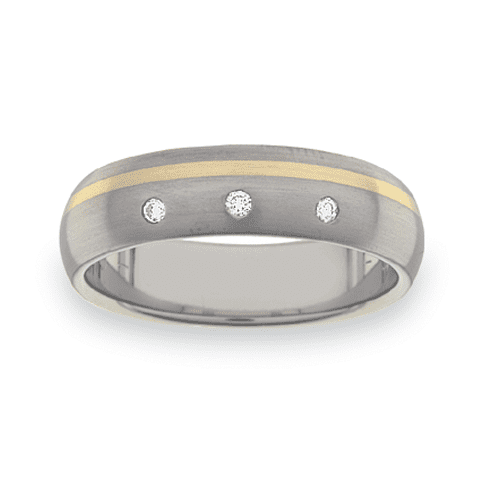 Titanium Wedding Ring PD448 Titanium Wedding Ring PD448