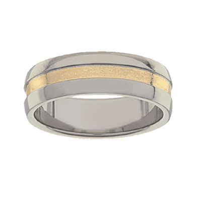 Titanium Ring PD234