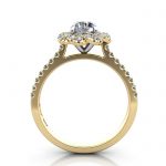 Halo Engagement Ring, Yellow Gold, RH7, TF