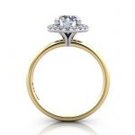 Halo Engagement Ring, Yellow Gold, RH6, TF