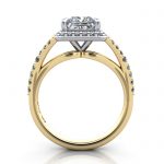 RH3-Princess-YG-TF RH3-Princess-YG-TF