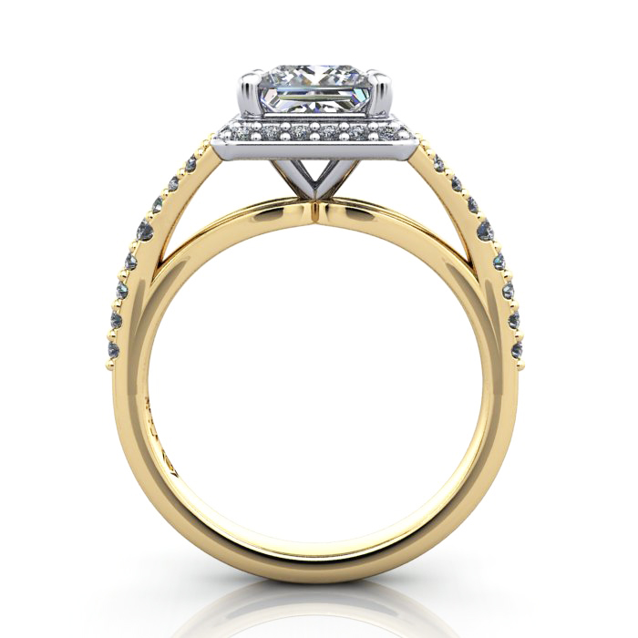 RH3-Princess-YG-TF RH3-Princess-YG-TF