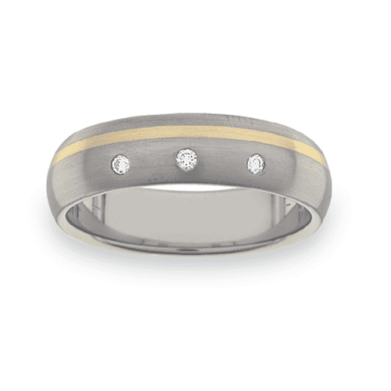 Titanium Wedding Ring WG448
