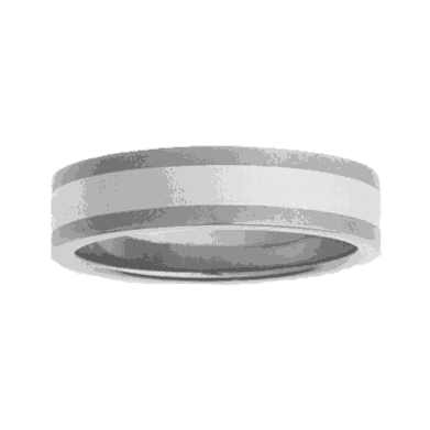 Titanium Wedding Ring WG211
